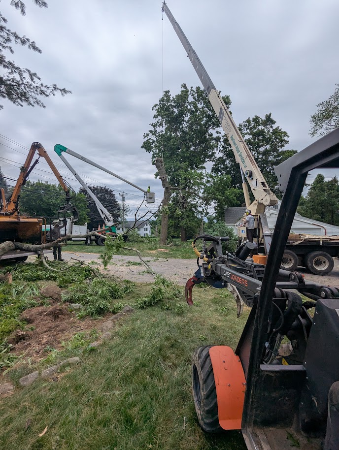 Emergency Tree Removal Newtown crews handling hazardous tree removal in tight residential spaces.