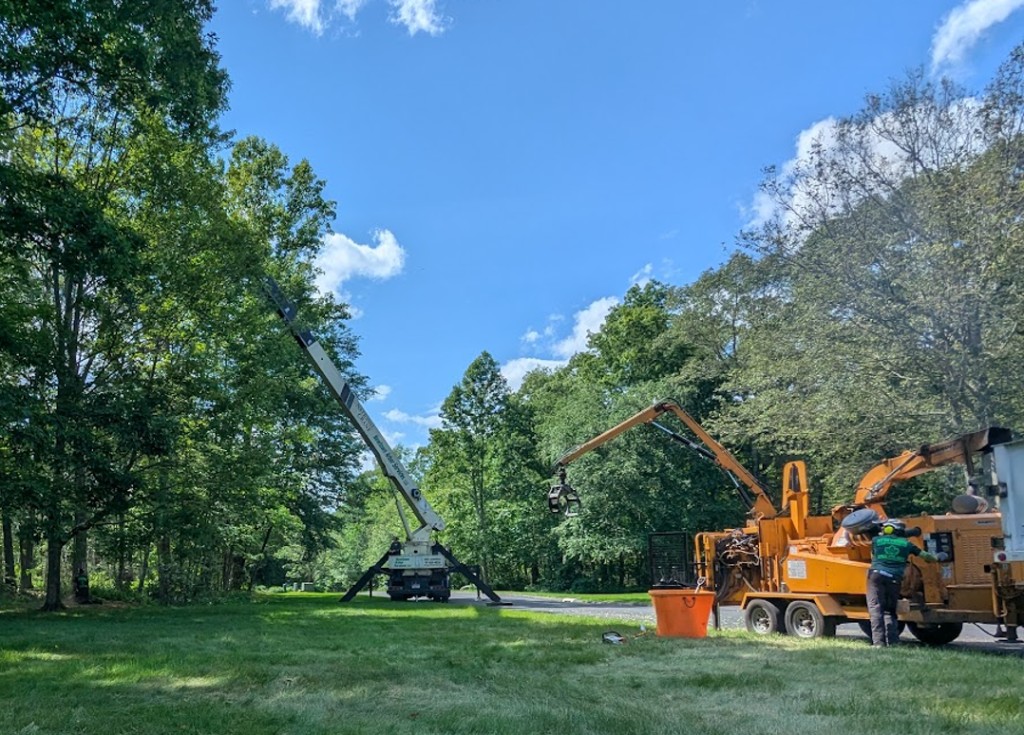Crane and chipper setup for large tree removal on a residential property